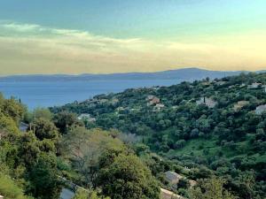 Φυσικό τοπίο κοντά σε αυτό το διαμέρισμα