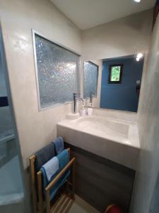 a bathroom with a large white sink and a window at La véranda au domaine de Tara in LʼHôpital-du-Grosbois +33 photos