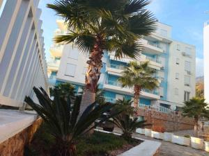 two palm trees in front of a building at Tropicana Apartments in Dhërmi