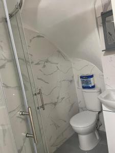 een badkamer met toilet en glazen douche bij Feltham rest place in Feltham
