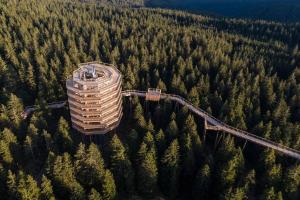 a building in the middle of a forest of trees at Rogla Alpina Residence in Zreče +46 photos