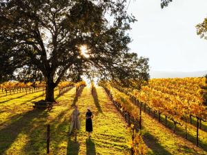 a bride and groom walking through a vineyard at sunset at Fairmont Sonoma Mission Inn & Spa in Sonoma