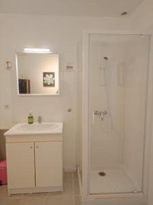 uma casa de banho branca com um lavatório e um chuveiro em Gîte du Petit Gué em Frossay