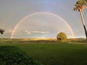 a rainbow over a field with a palm tree at The Block Vista B&B in Nanango