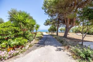 a dirt road with trees and flowers on a beach at Casa Di Mare - Studios and Apartments with pool on the beach, by ZanteWize in Vasilikos