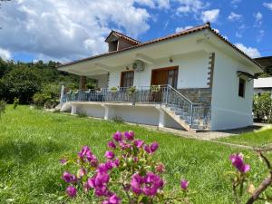 Zahrada ubytování Vila Ardea