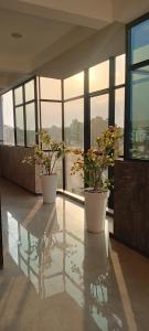 胡布利的住宿－Varaha Residency Lodging and Banquet，两株盆栽植物坐在大楼的桌子上