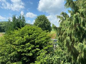 a group of trees with a blue sky and clouds at Ferien- und Messewohnung in idyllischer Lage in Nordstemmen +5 photos