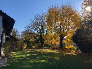 einen Hof mit zwei Bäumen mit gelben Blättern in der Unterkunft Ferienwohnung Am Spitalgarten für 6 Personen in Gundelfingen