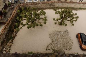an aerial view of trees in the water with a car at Manoir de Laroque Delprat in Autoire