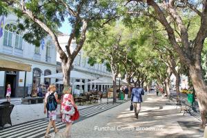 a group of people walking down a street with trees at OurMadeira - Heart of Old Town I in Funchal +22 photos