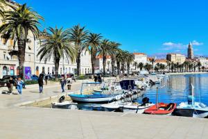 un grupo de barcos atracados en un puerto con palmeras en Apartments Toma en Split