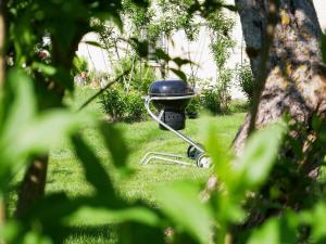 a barbecue grill sitting in the grass in a yard at Ferienwohnung Walter in Ringsheim