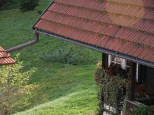 une maison avec un toit rouge et quelques fleurs dans l'établissement Schwarzwald Buchenhof, à Zell am Harmersbach
