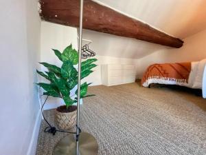 una camera con una pianta in vaso e un letto di Nid perché en centre historique d'Avignon ad Avignone