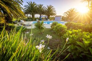 a garden with a swimming pool and palm trees at O Zimbreiro in Piedade