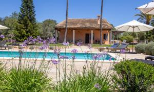 Willa z basenem i fioletowymi kwiatami w obiekcie 019 Villa Nuria ET2369 by Mallorca Charme w mieście Muro