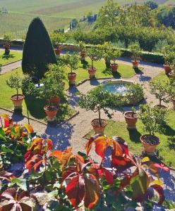 a garden with many potted plants and a pond at Il Castello in Barbarano Vicentino