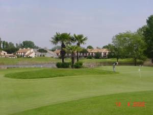 ラ・グランド・モットにあるRésidence Green Villageの緑のゴルフ場に立つゴルファー
