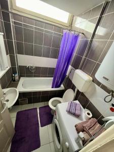 ein kleines Bad mit WC und Waschbecken in der Unterkunft apartman centar S in Pirot