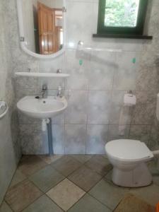 a bathroom with a toilet and a sink at Z górki na Mazurki, zaciszny domek nad jeziorem in Borki