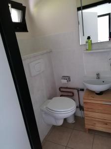 een witte badkamer met een toilet en een wastafel bij Ferienhaus Berganker in Willingen in Willingen