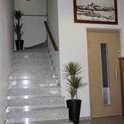 a hallway with two palm trees in a building at Hotel Classis in Bragança