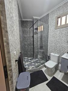 a bathroom with a shower and a toilet at Casa Moreno Apartments - Dar Hanan in Tangier