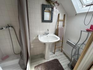 a bathroom with a sink and a shower at Le Cocon rouge - studio en plein centre historique in Lamballe