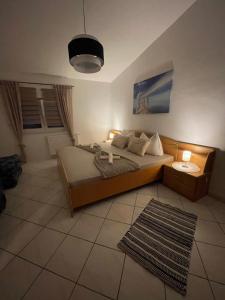 ein Schlafzimmer mit einem großen Bett und einem Teppich in der Unterkunft Apartmani Ivanic in Vir