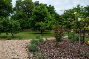 a garden with flowers and trees in the background at Villa Magda in Todi