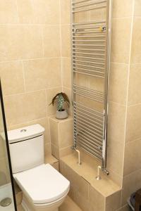 a bathroom with a toilet and a shower at Stunning 3BR Apt Retreat on River Thames l 5Bd2Bth in London