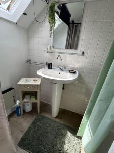 a bathroom with a white sink and a mirror at Le cocon jaune - Studio en hyper centre in Lamballe