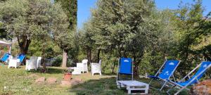 A garden outside DIMORA IL CAMALEONTE apartments in nature with pool