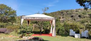A garden outside DIMORA IL CAMALEONTE apartments in nature with pool