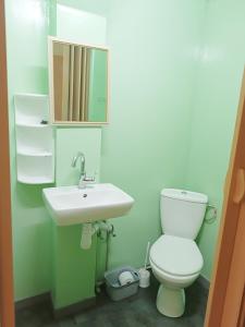 a bathroom with a toilet and a sink at Hostel Krośnieńska 12 in Zielona Góra