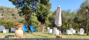 A garden outside DIMORA IL CAMALEONTE apartments in nature with pool