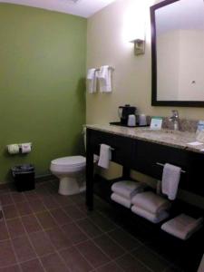 een badkamer met een wastafel, een toilet en een spiegel bij Sleep Inn & Suites Mount Olive North in Mount Olive