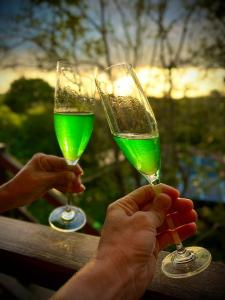 dos personas sosteniendo copas de vino verde en Chalé Por do Sol en Caruaru