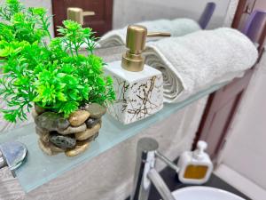 a bathroom with a glass shelf with plants on it at Homely Guest House and Hotels in Islamabad, Bahria Rawalpindi in Rawalpindi