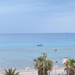 samolot leci nad oceanem z palmami w obiekcie B&B Mariupol w Trapani +14 zdjęć