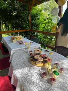 Photo de la galerie de l'établissement Holiday Home Nanin Konak, à Vrdnik