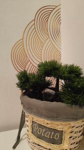 ein Korb mit einer Topfpflanze auf einem Tisch in der Unterkunft MANZONI APARTS - Comfort SUITE in San Pellegrino Terme