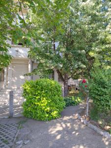 Κήπος έξω από το Студиа за гости СЛАВЯНИ