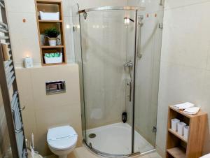 a bathroom with a shower and a toilet at Tatry PANORAMA apartmány Tatragolf B-F in Veľká Lomnica
