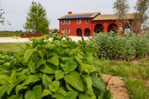 Zahrada ubytování Agriturismo La Rosarnetta