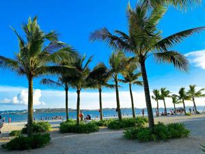 a group of palm trees on a beach at Vila Lotus Hạ Long in Ha Long