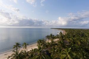 an aerial view of a beach with palm trees and the ocean at Villa Palma in Pangani