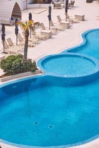 una gran piscina con sillas y una palmera al lado en Universal Hotel Neptuno - Adults Only, en Playa de Palma