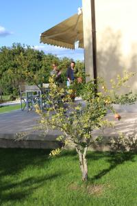 Zahrada ubytování Hotel Poggio Bertino